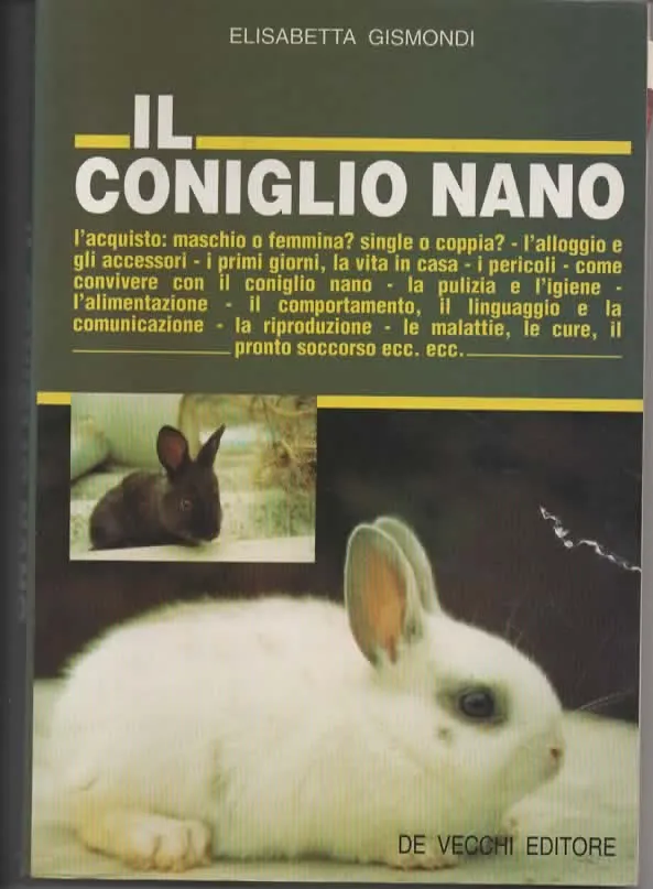 IL CONIGLIO NANO – ELISABETTA GISMONDI (1997)