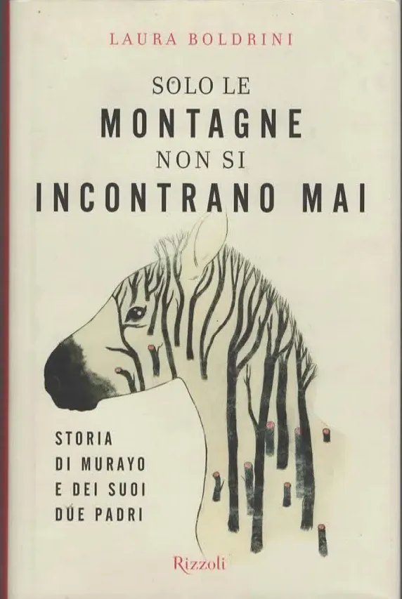 SOLO LE MONTAGNE NON SI INCONTRANO MAI – LAURA BOLDRINI (2013)