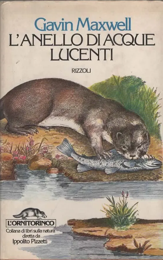 L’ANELLO DI ACQUA LUCENTI – Gavin Maxwell