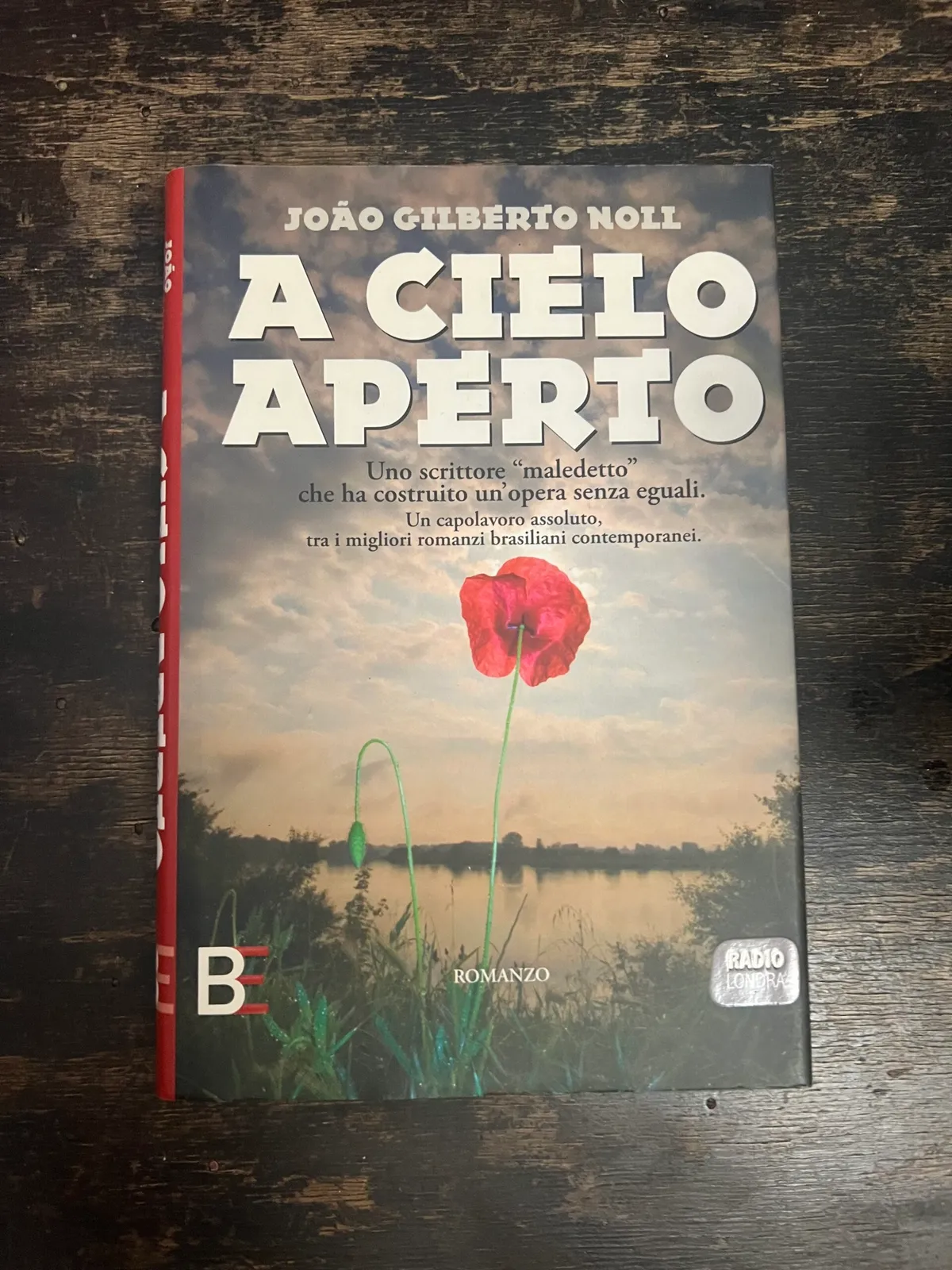 A cielo aperto - João Gilberto Noll
