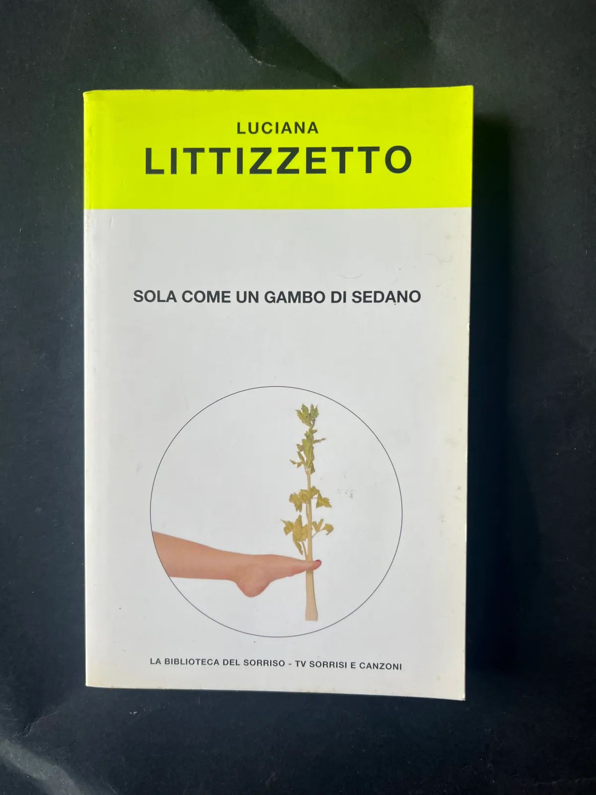 Sola come un gambo di sedano - Luciana Littizzetto