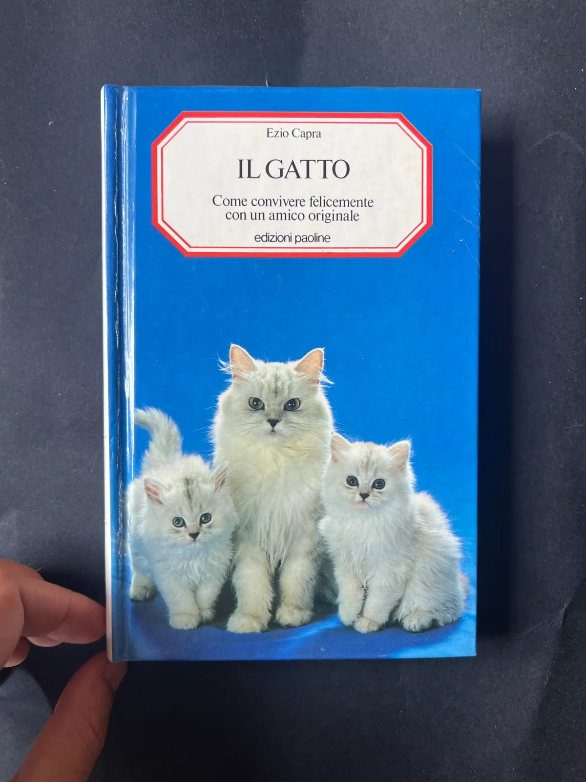 Il gatto di Ezio Capra