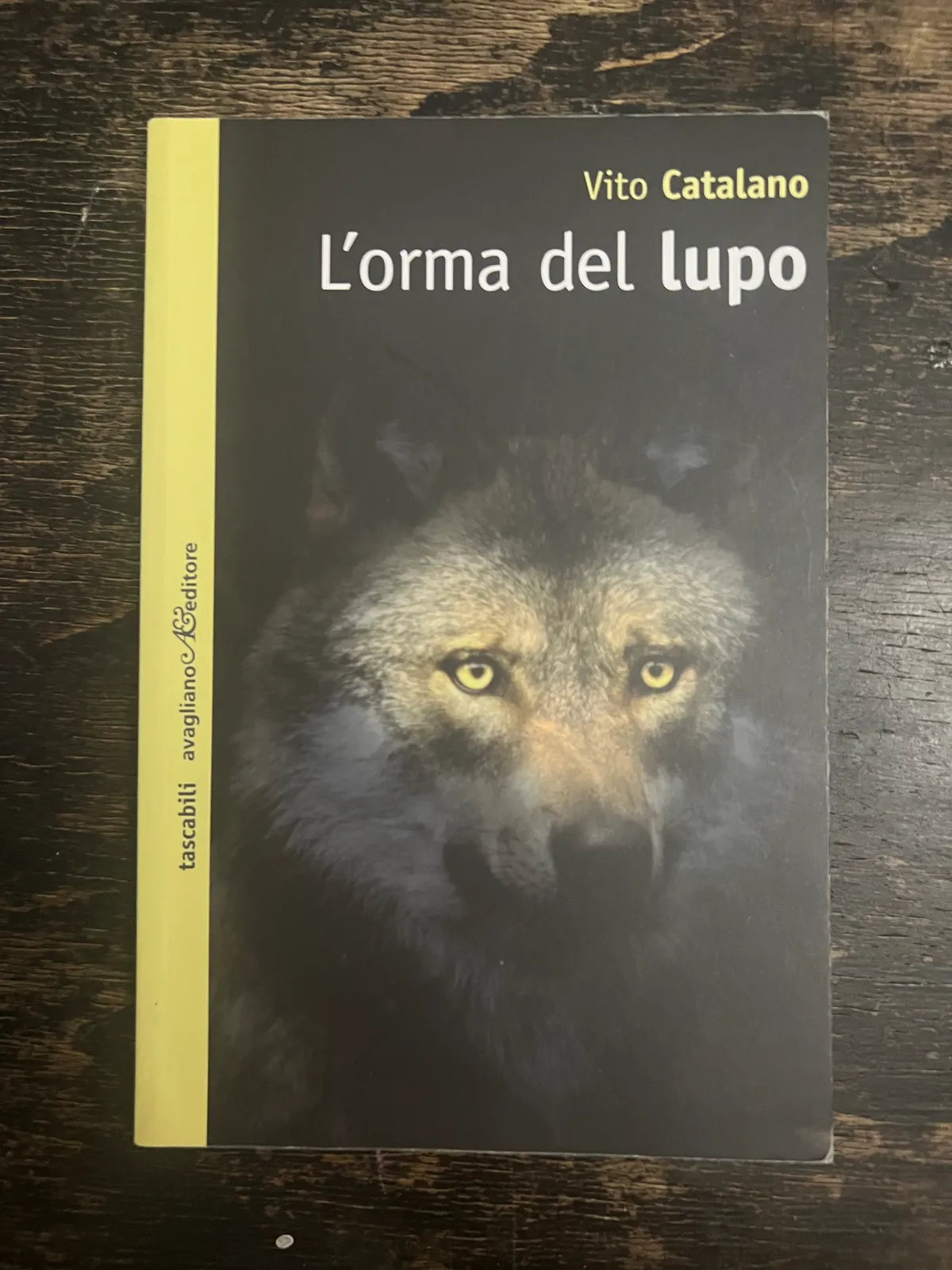 L'orma del lupo di Vito Catalano