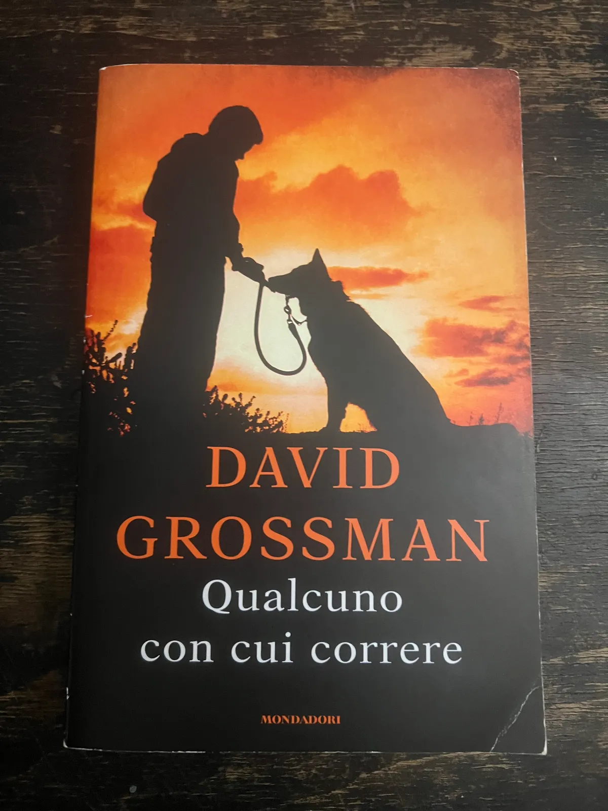 Qualcuno con cui correre di David Grossman