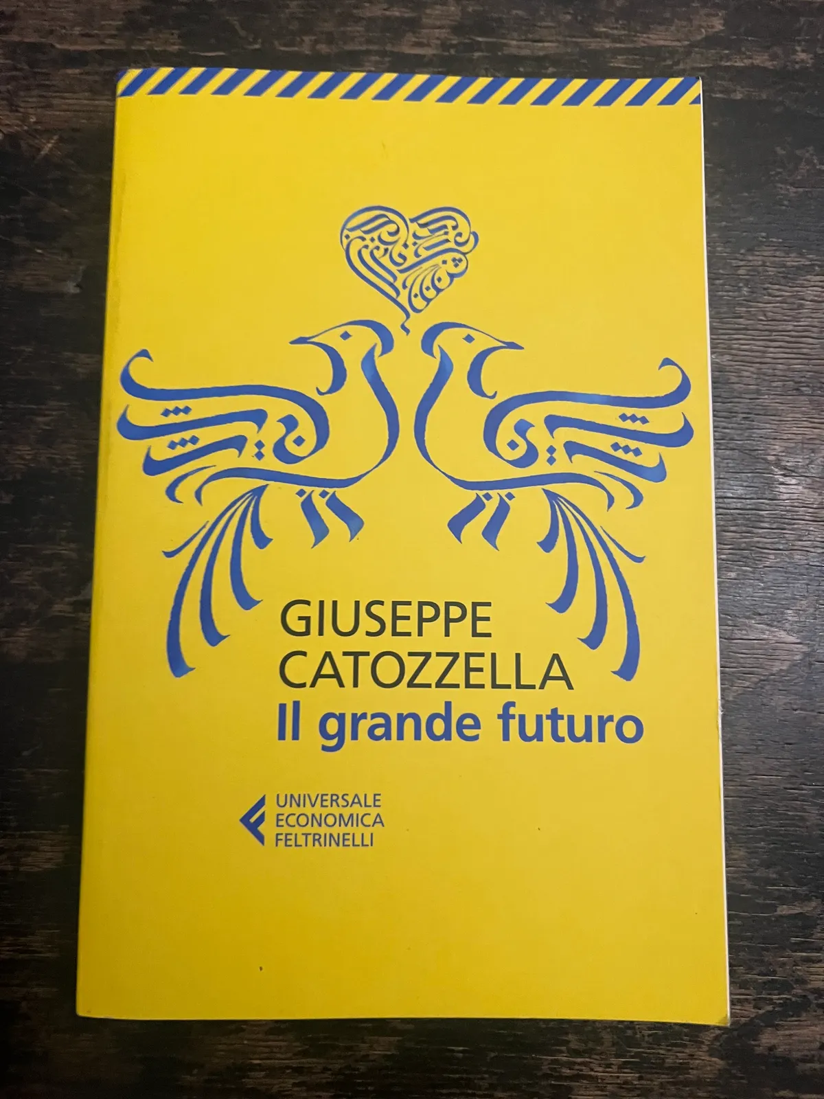 Il grande futuro di Giuseppe Catozzella